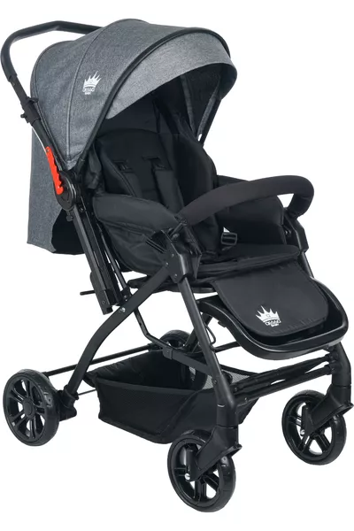 Poussette réversible pour bébé AQUA Gris