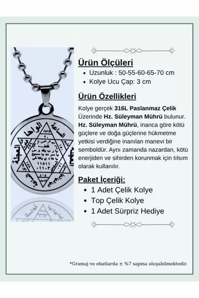 Schützendes Hz. Suleiman Siegel Männer Frauen Echtstahl Halskette Kette