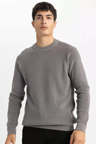 Стандартная посадка, обычный крой, свитер с круглым вырезом, базовый, однотонный трикотажный свитер SP