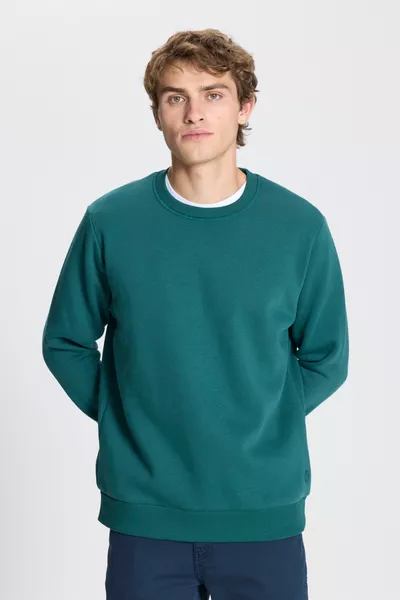 Men's Dark Green Standard Fit Regular Cut Fleece-Lined 3-Ply Cotton Crewneck Sweatshirt