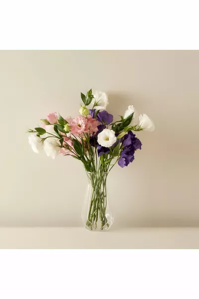 Линда Вазо Натюрель ( см)