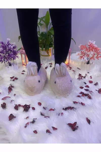 أرنب الشكل الشتاء باندوف