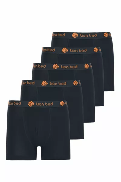 Erkek Boxer Pamuklu Renkli Premium 5'li Paket -1