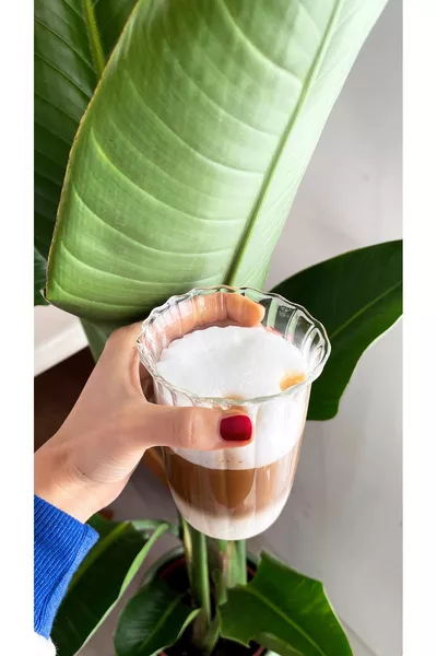  ML Gestreept Patroon Hittebestendig Serveerglas Espresso Glas