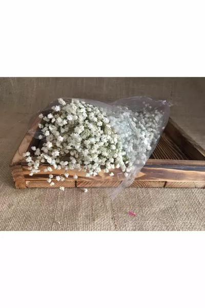 Fleur séchée naturelle Herbe de Gypsophile séchée