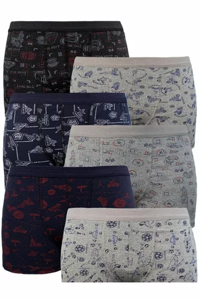  قطعة بوكسر للأطفال الصبيان بنقشات متنوعة ومصنوع من الليكرا