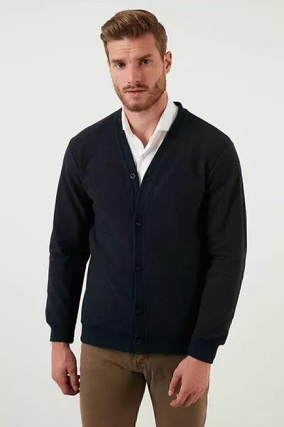 Katoenen Regular Fit Gebreid Vest met Knopen en V-hals Heren Vest 