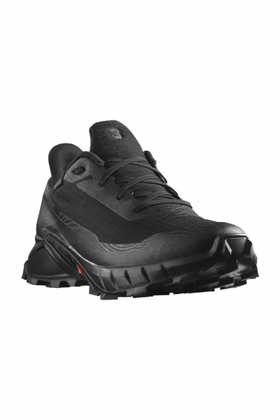 Alphacross 5 gtx hardloopschoenen voor heren
