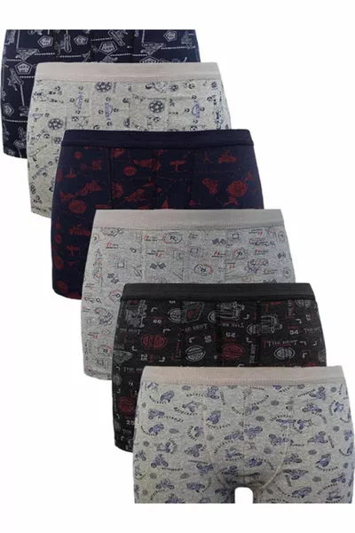  قطعة بوكسر للأطفال الصبيان بنقشات متنوعة ومصنوع من الليكرا