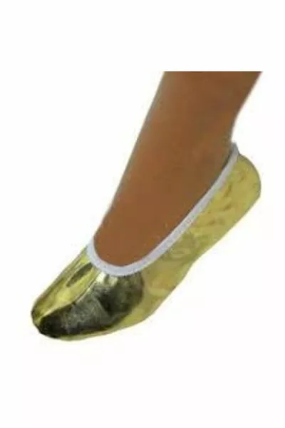 Kitty Kitty Show Shoes Gold Silver