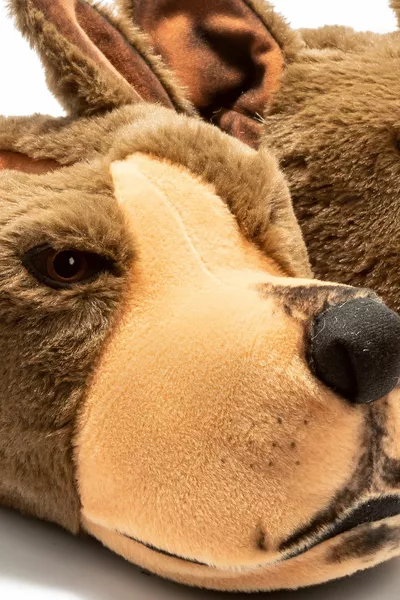 TW COUNT HUND WINTER TIER PANDUF