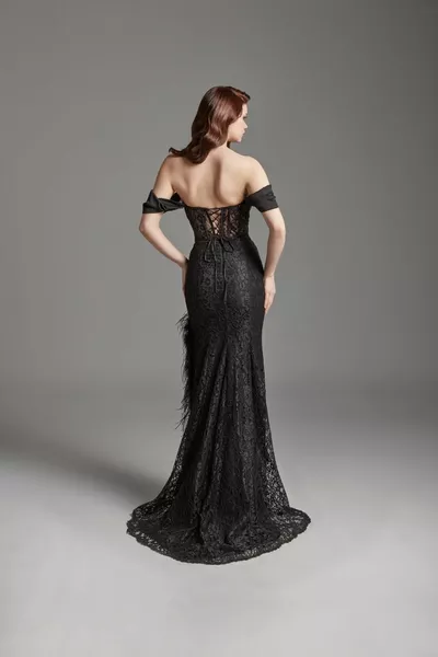 تصميم خاص المرأة مساء اللباس