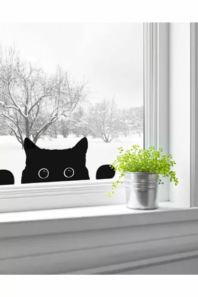 Сладка котка министър декоративен многофункционален стикер за стена