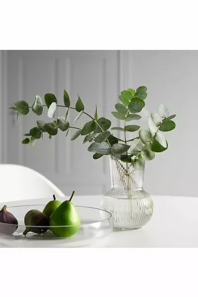 Ваза Padrag  см 