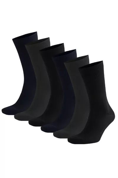 Cotton Multicolor Classic Solid Socks 6-Pack