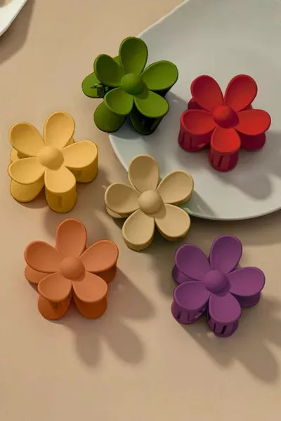Set de 6 barrettes motif marguerite colorées