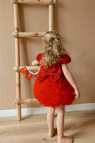 فستان فتاة رضيع بأكمام قصيرة وتول أحمر - برنسيس