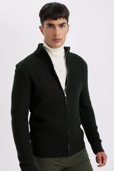 Regular Fit Halflange Col Geritste Gebreide Trui met Rits wn