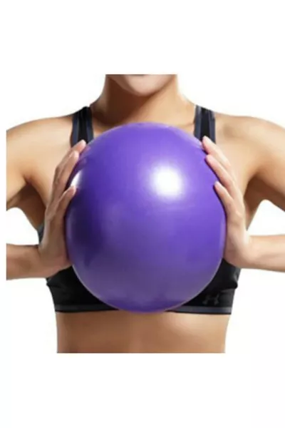 Cm Mini Pilates Ball Gym Yoga Pilates Exercise Ball