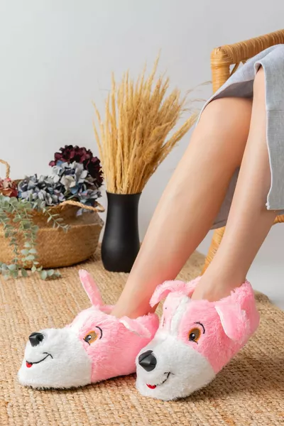 الشكل مسحوق القطيفة باندوف الرئيسية باندوفو