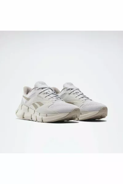 Zig Dynamica 5 Scarpe da corsa grigie da uomo