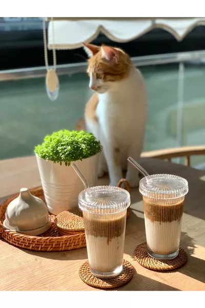 2 шт. стеклянных стакана с крышкой и трубочкой в стиле оригами | Стакан для кофе и подачи | Стакан для напитков