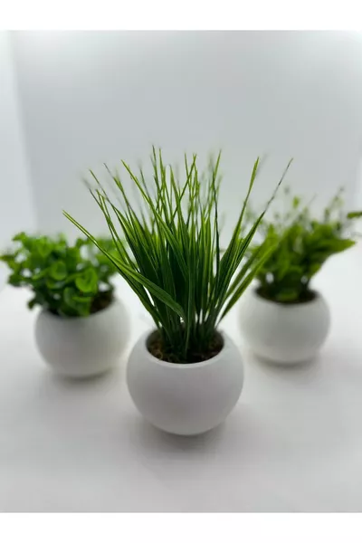 Мини бетонен саксия комплект от 3 с реален мъх, изкуствено цвете, подаръчна опаковка