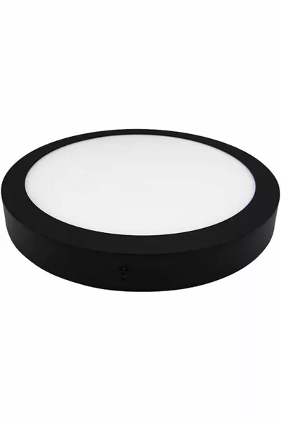 Lampada LED da Soffitto Moderna Nuova Luce Bianco Ghiaccio Corpo Nero in Metallo Lampadario per Soggiorno Cucina Sala da Pranzo