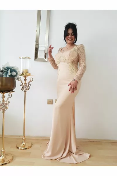 Women's Powder Back Transparent Design Fish Evening Dress