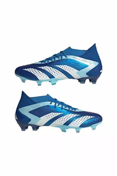 Raubtier-Genauigkeit.1 Fg Stollen 