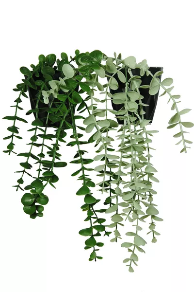 Комплект от 2 мини изкуствени евкалиптови цветя