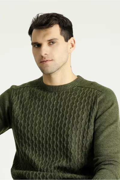 Maglione a Girocollo Regular Fit Senza Cuciture con Motivo in Maglia