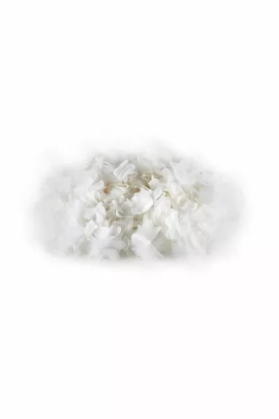 Бял лазерен разрез Роза украса Опаковъчен материал Органза плат Скучни цветя 1м Брой – Изкуствено цв