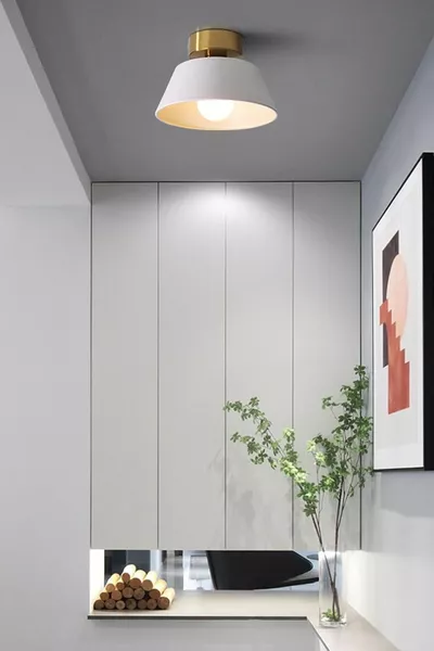 Dolly Modern Холл Для Коридора Входа Одинарная Потолочная Металлическая Люстра