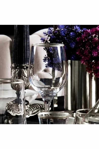  Pieces  Person Silver Glass Water Set