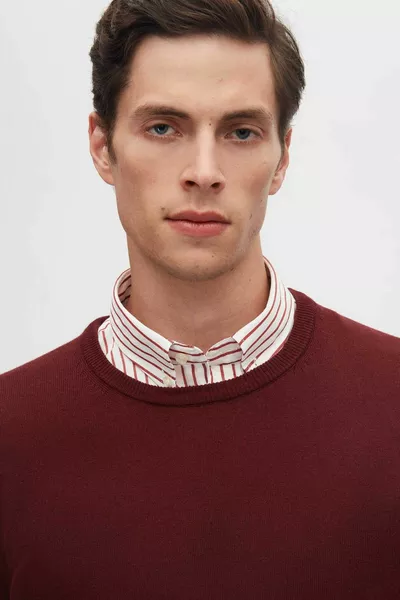 العادية صالح بورجوندي مكافحة الريش الطاقم الرقبة متماسكة سترة