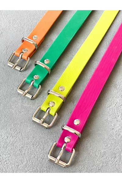 Ensemble de 4 ceintures de couleurs arc-en-ciel