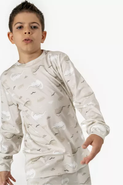 Dinosaur Pattern Soft Cotton Seasonal Boys' Pajama Set