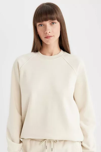 Sweatshirt basique épais à col rond oversize WN