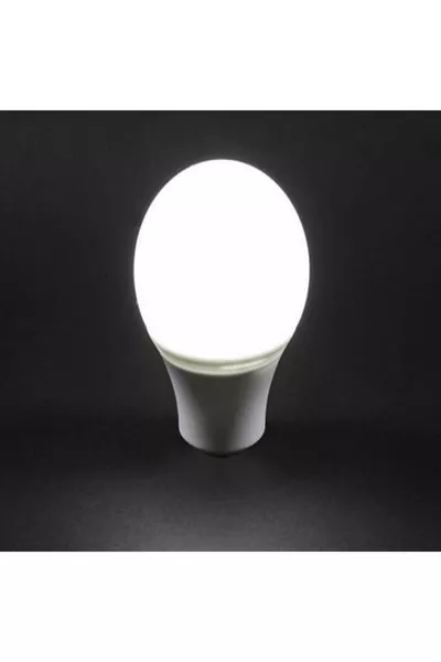  W  Socket White Light LED Bulb -B