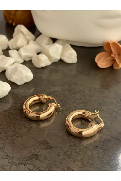 Steel Earrings Guaranteed Not to Fade with Invoice