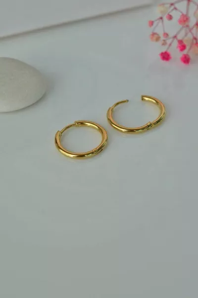 Medium Size Steel Hoop Earrings Gold