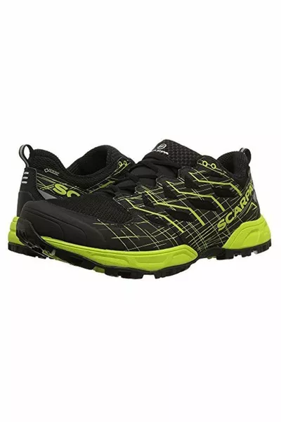 Neutron 2 Gtx Black/green Shoes