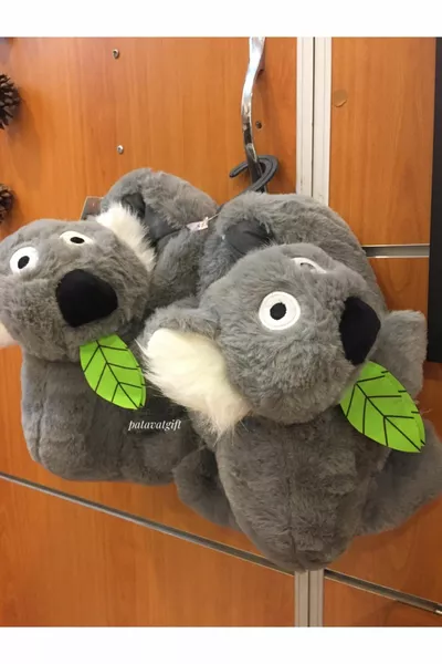 معانقة كوالا باندوف وينتر هاوس باندوفو