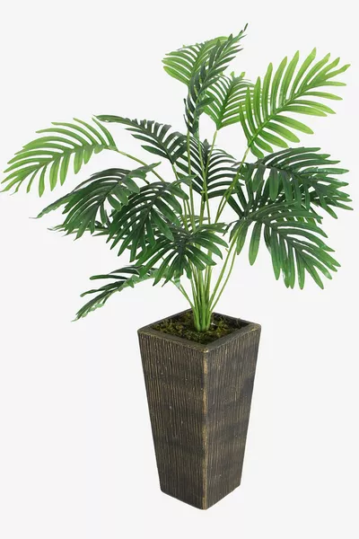 Изкуствено дърво Арека с клони см (дърво черно-златно-кашпа)