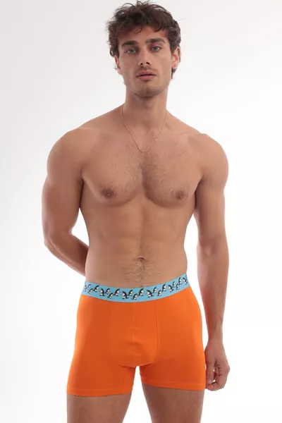 Подарочные хлопковые стильные и удобные мужские боксеры с принтом