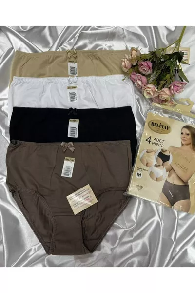 4er Pack Damen Hoher Bund Modal Baumwolle Slip