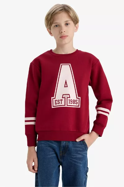 Sweatshirt imprimé col rond pour garçon WN