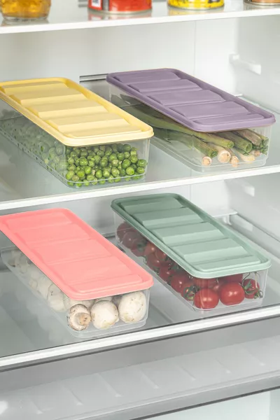 Органайзер и контейнер для хранения для холодильника/морозильника Stella на 6 секций