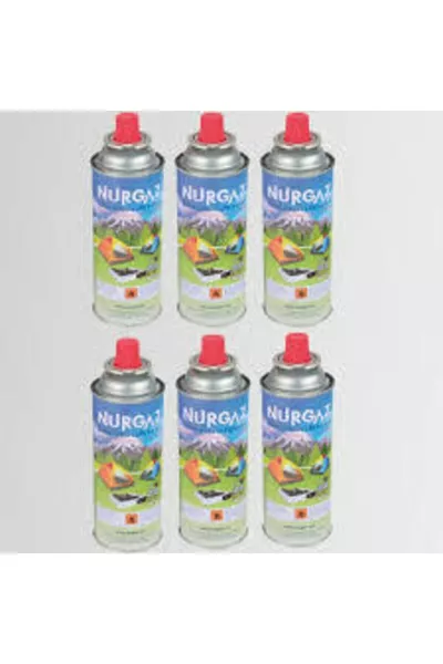 6 قطعة كرتوش غاز لموقد التخييم بصمام